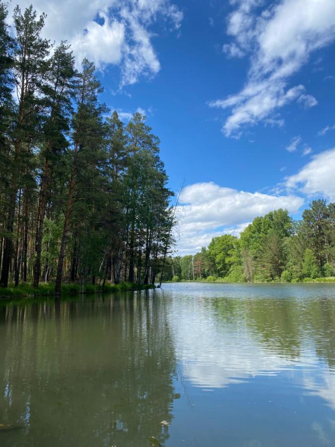 Forest And Lake Borovoje Eksteriør bilde