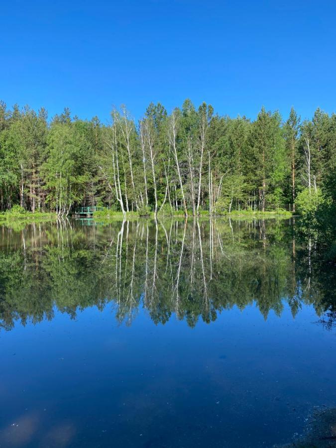 Forest And Lake Borovoje Eksteriør bilde