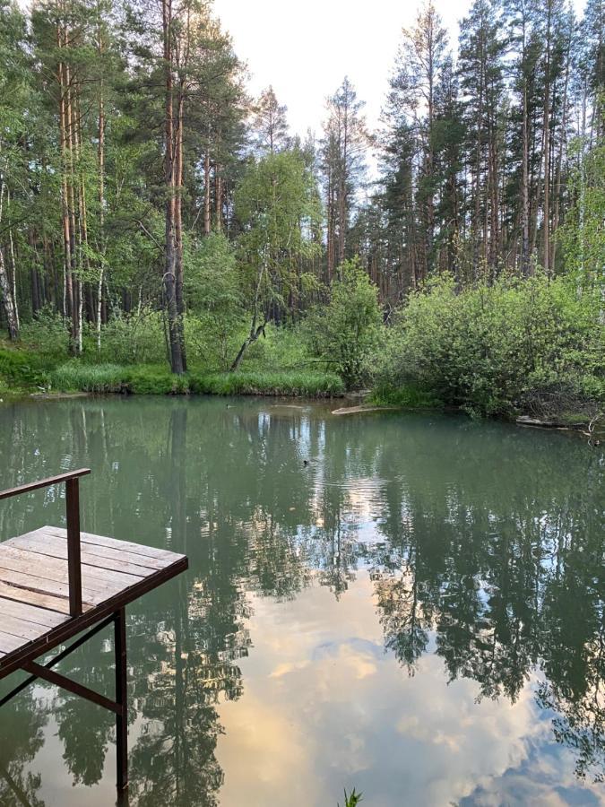 Forest And Lake Borovoje Eksteriør bilde